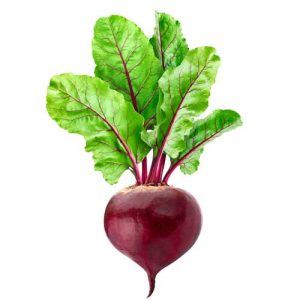 iStock-1251666784-web-500